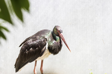 Similar image 13211339