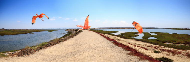 Similar image 13219270