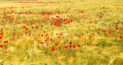 Similar image 13200550