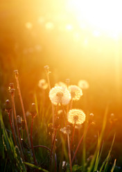 Similar image 13200553