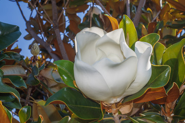 Similar image 13215784