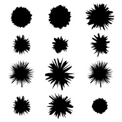 Similar image 13204740