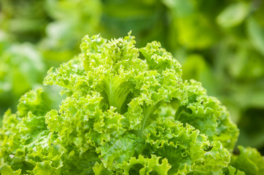 Similar image 13203974