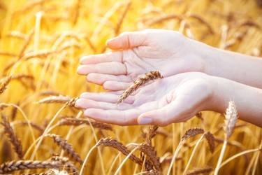 Similar image 13203975