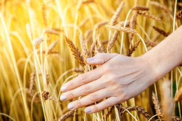 Similar image 13203976