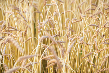 Similar image 13203978