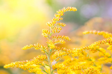 Similar image 13203979