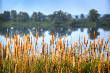 Similar image 13203980