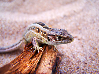 Similar image 13204166