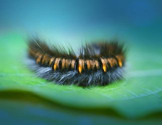 Similar image 13207695