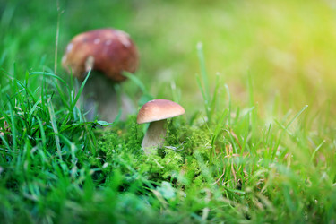 Similar image 13207696