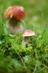 Similar image 13207697