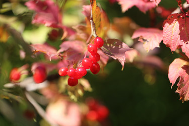 Similar image 13207698