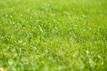 Similar image 13207699