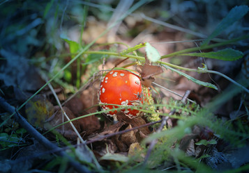 Similar image 13207704