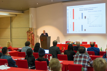 Similar image 13215479