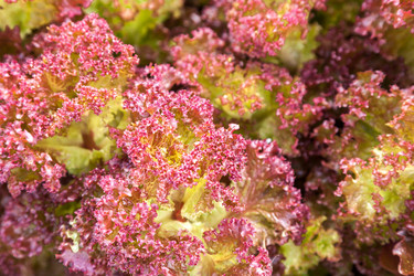 Similar image 13203928