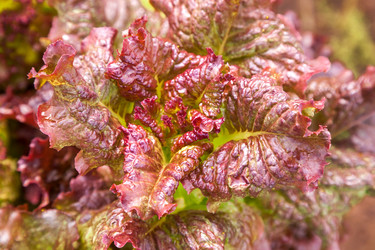 Similar image 13203929