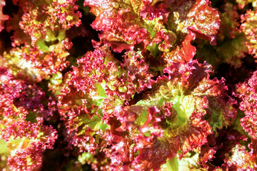 Similar image 13203931