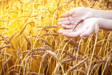 Similar image 13203932