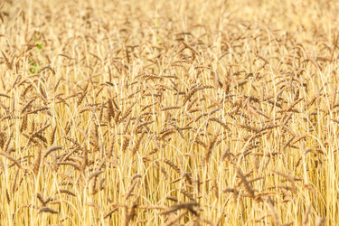 Similar image 13203934