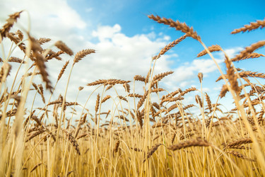 Similar image 13203935