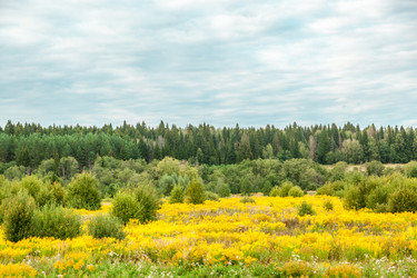 Similar image 13203936