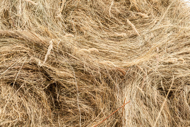 Similar image 13203938