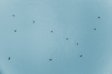 Similar image 13203940