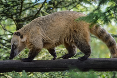 Similar image 13221136