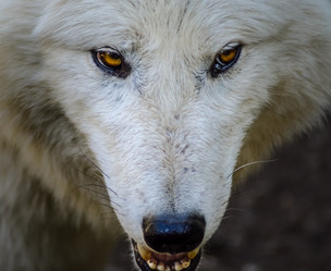 Similar image 13221268