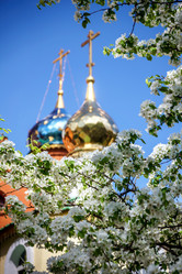 Similar image 13223936