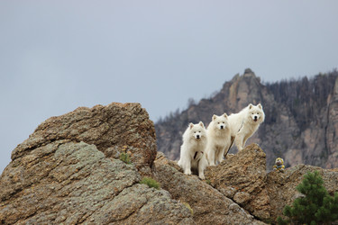 Similar image 13211635