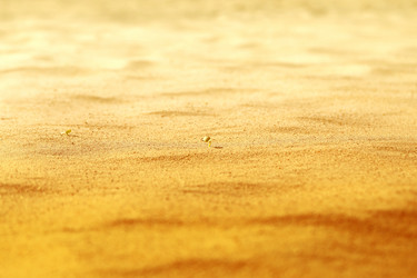 Similar image 13207711