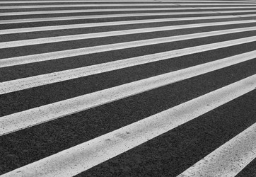 Similar image 13205115