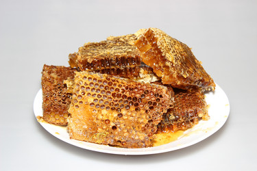 Similar image 13204544