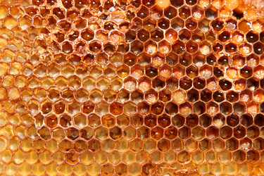 Similar image 13204548