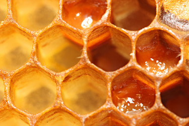 Similar image 13204549