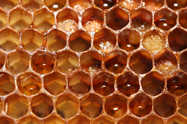 Similar image 13204550