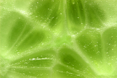 Similar image 13204553