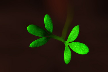 Similar image 13204554