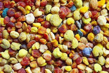 Similar image 13204559