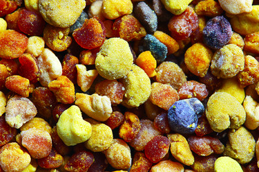 Similar image 13204560