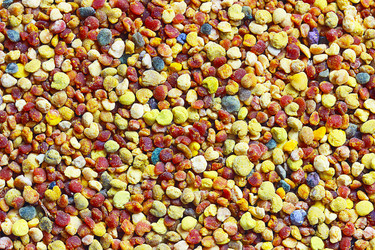 Similar image 13204562