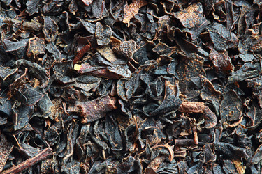 Similar image 13204563