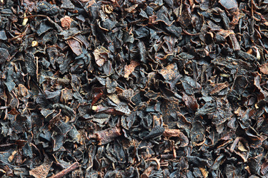 Similar image 13204180