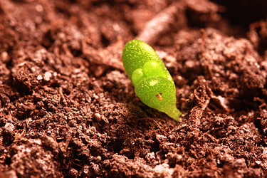 Similar image 13204184