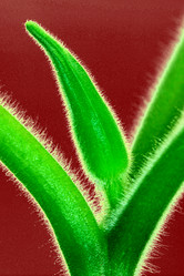 Similar image 13204185