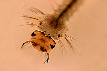 Similar image 13204186