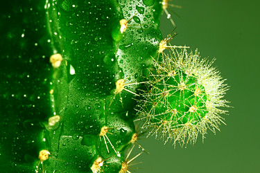 Similar image 13204188